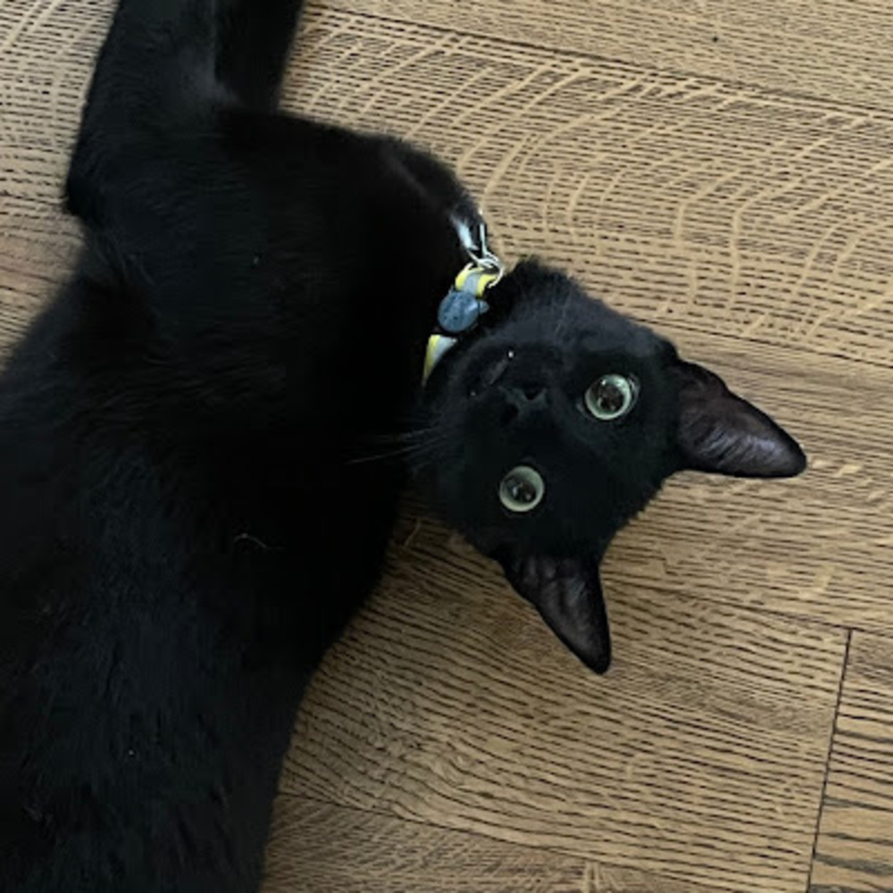 Meet your Posher, Christina